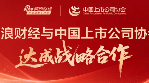 解放者杯战绩斐然：近20战16胜，不容错过的精彩盘点